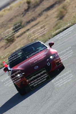 media/Nov-19-2023-Extreme Speed (Sun) [[bd0eec5490]]/Purple/Wall Paper Photos/